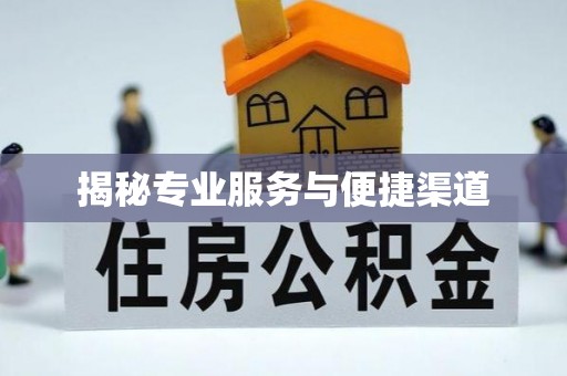 洛浦揭秘专业服务与便捷渠道