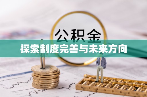 洛浦探索制度完善与未来方向