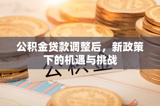 洛浦公积金贷款调整后，新政策下的机遇与挑战