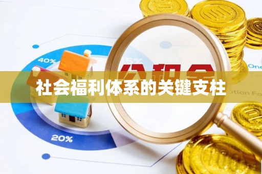 洛浦社会福利体系的关键支柱