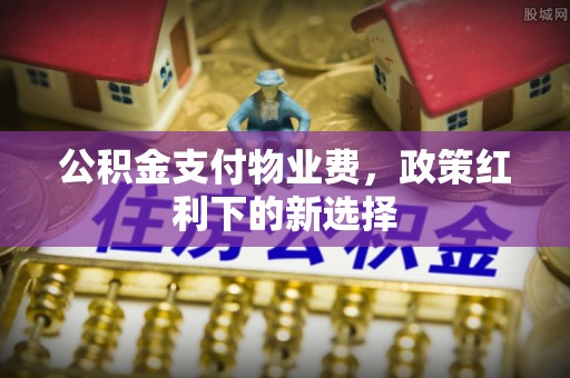 洛浦公积金支付物业费，政策红利下的新选择