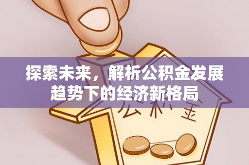 洛浦探索未来，解析公积金发展趋势下的经济新格局