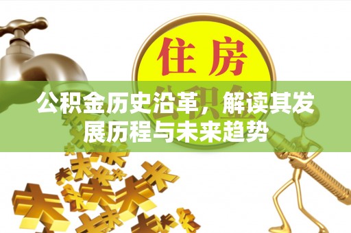 洛浦公积金历史沿革，解读其发展历程与未来趋势