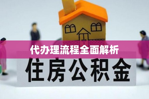 洛浦代办理流程全面解析