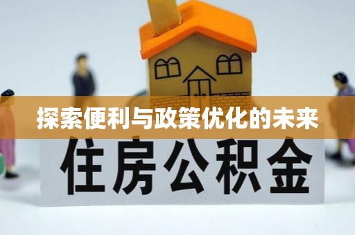 洛浦探索便利与政策优化的未来